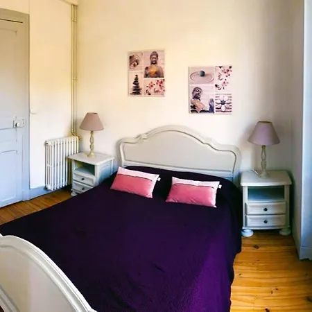 Vue Exceptionnelle Chateau + Parking Apartment Pau